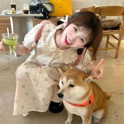 12莲花